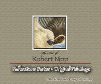 Robert Nipp ...  Reflection Series